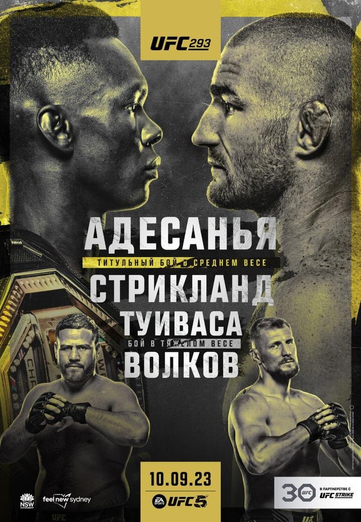     UFC 293