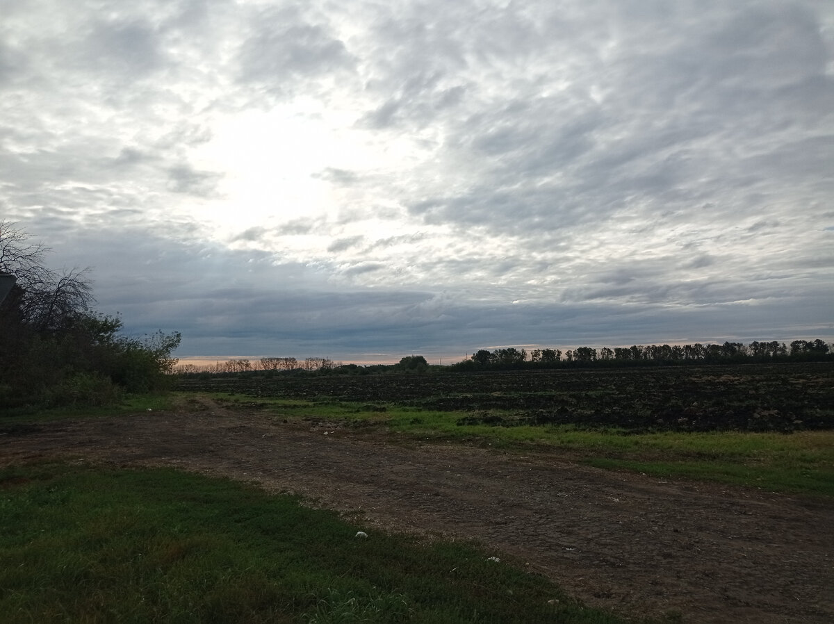 Русская дорога. Фото автора. 