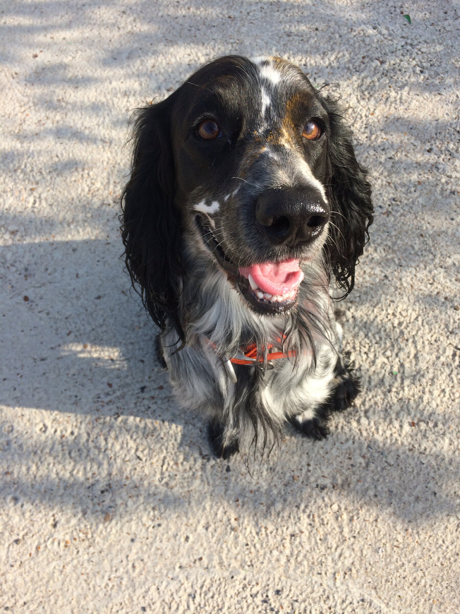 Весь нос в пыльце, но красоту ничем не испортишь