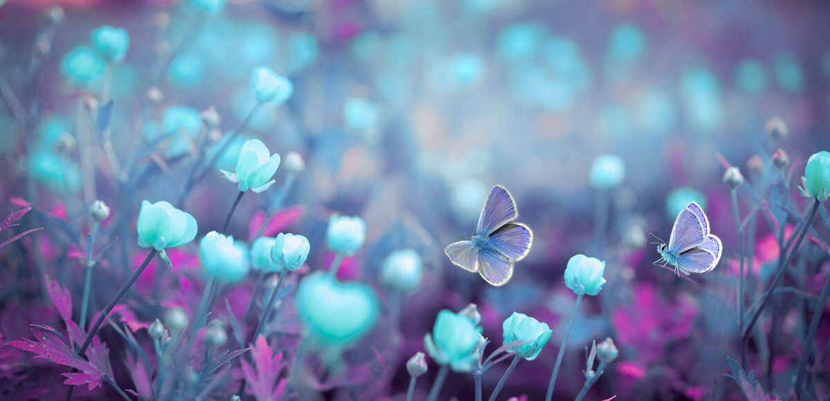 Фотография с просторов интернета. Цветокоррекция автора.