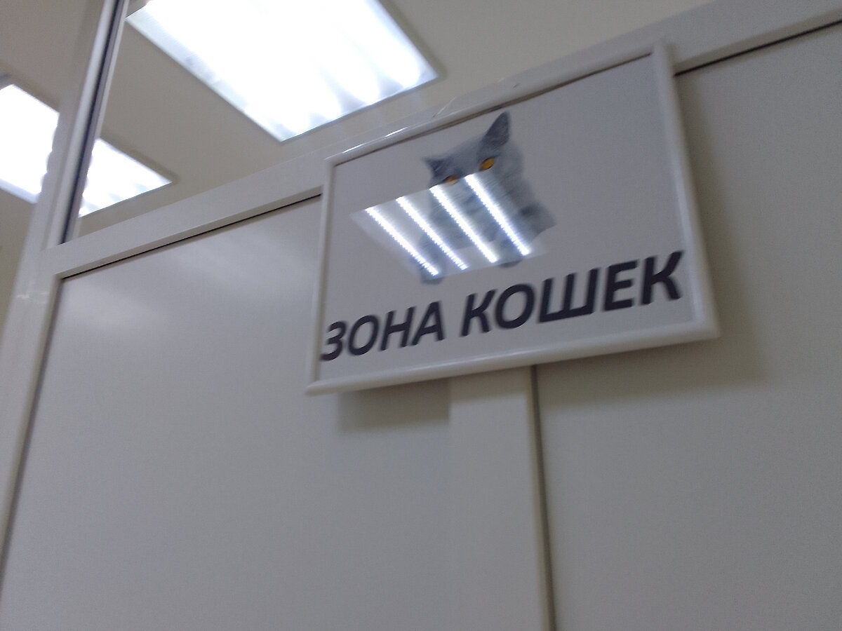 Диванчик для владельцев кошек