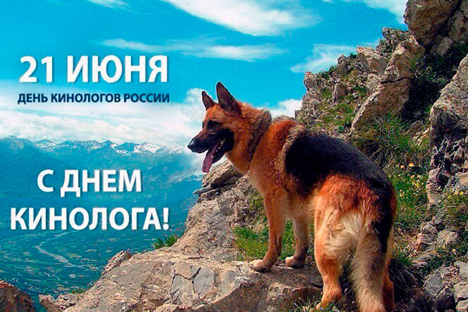 Фото из интернета.