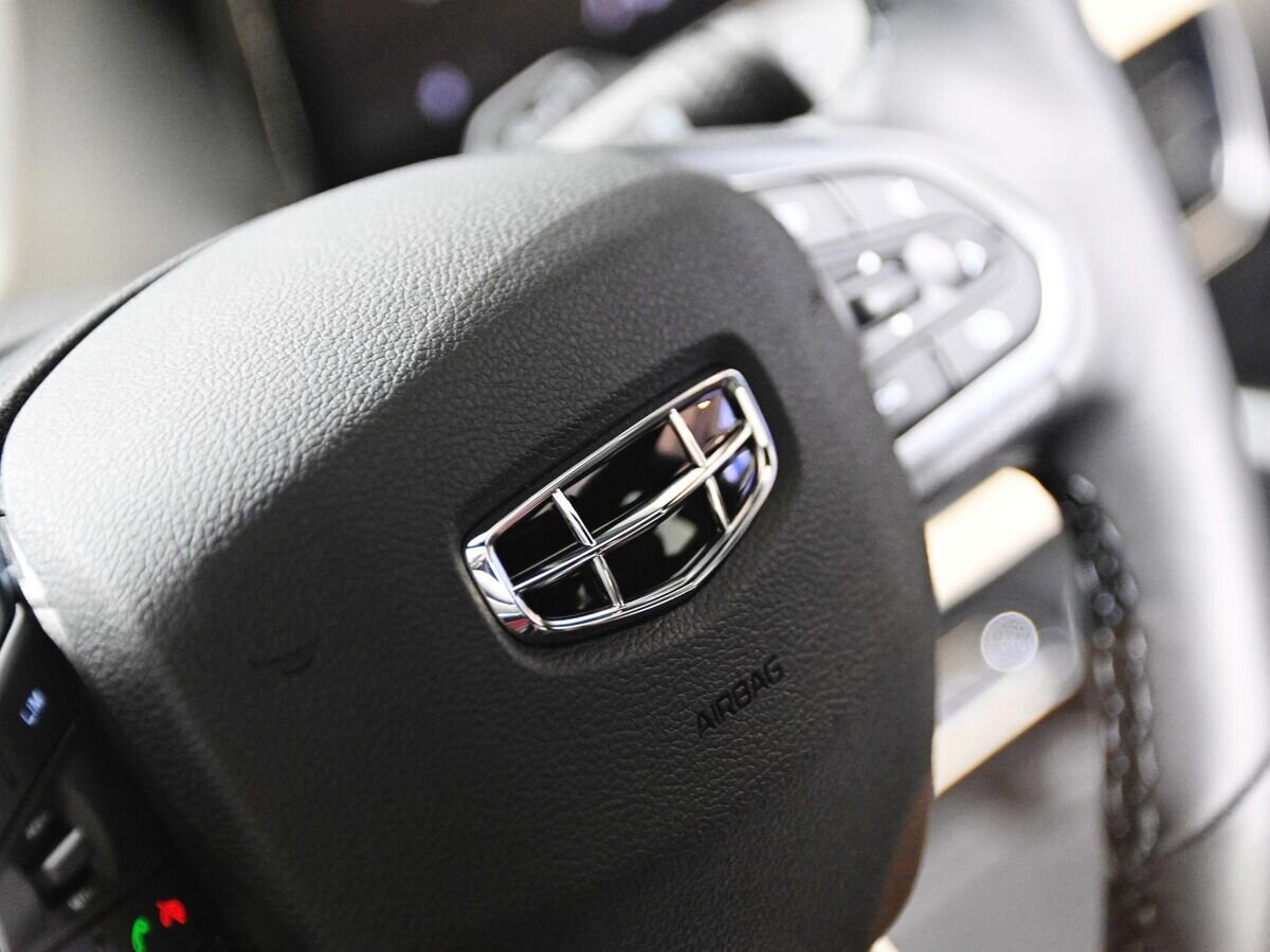    Руль в автомобиле GEELY в официальном дилерском центре Geely "АвтоСпецЦентр" в Москве© РИА Новости / Евгений Одиноков