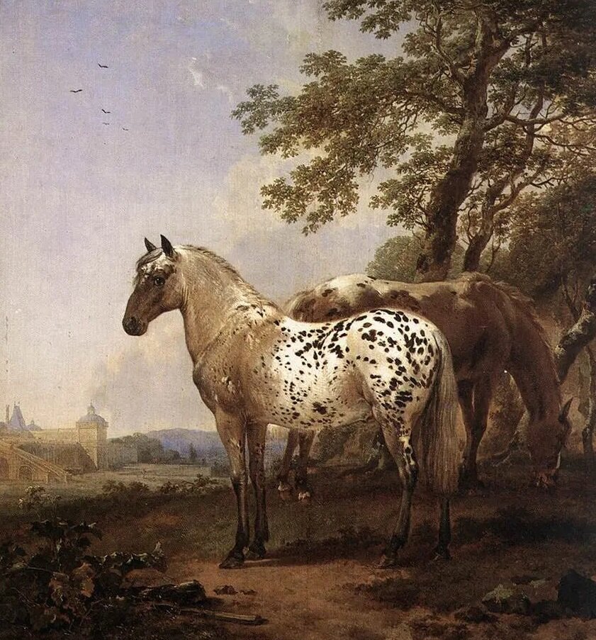 Бретонская лошадь. Лошадь Стенона. Образ лошади в русской литературе. Образ лошади на картинах и рисунках. Тернер лошадь