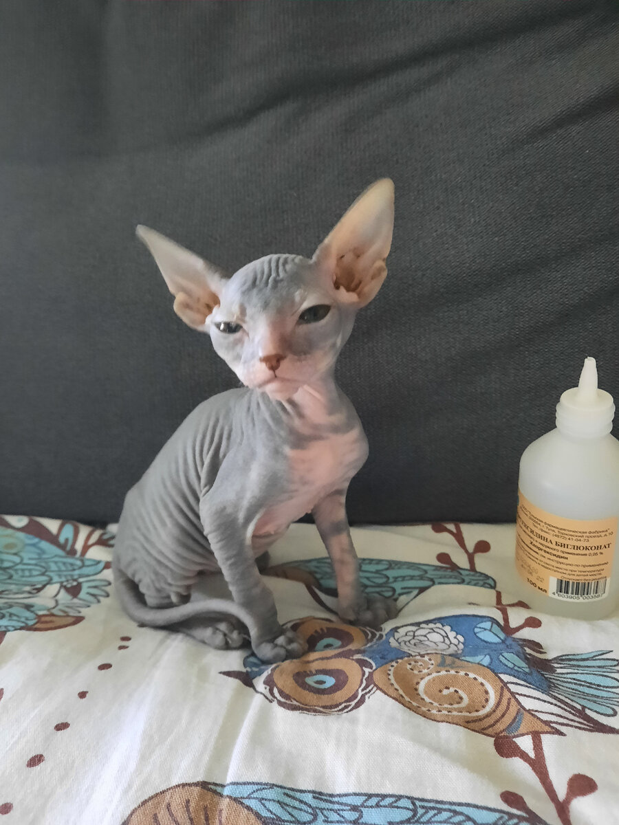 Это самое первое фото, как говориться, с порога😊  3 месяца малышке