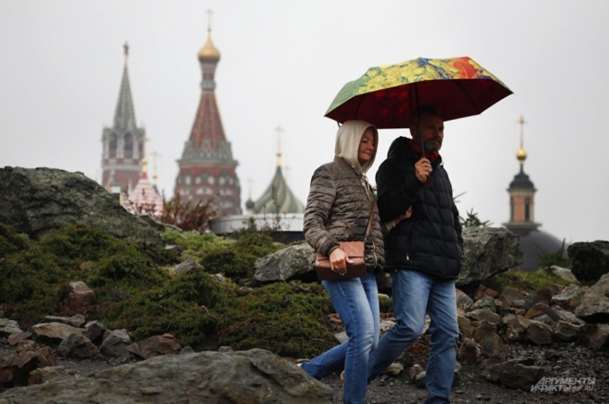    МЧС предупредило о грозе в Москве 28-29 июня