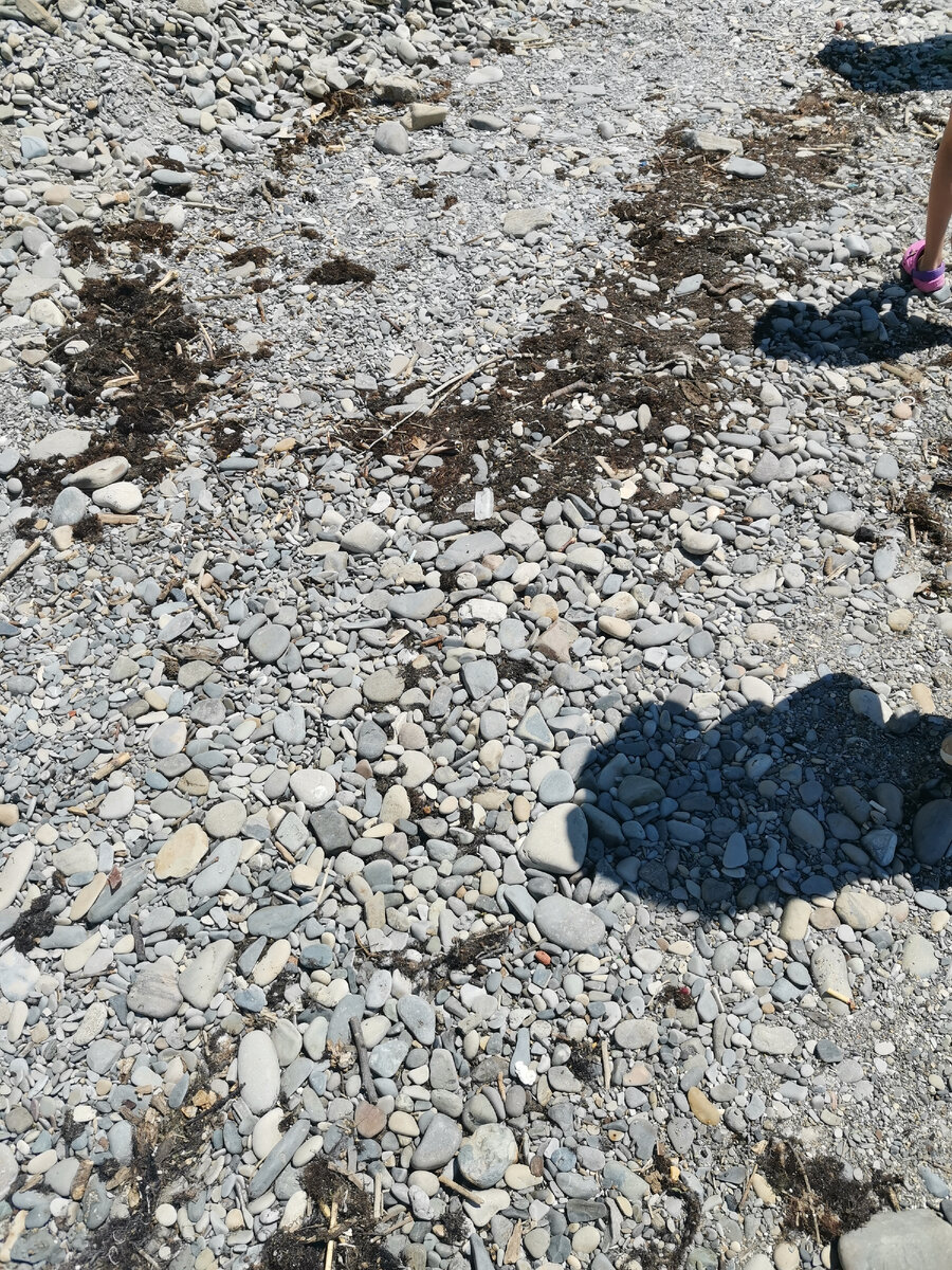 Болото рядом 