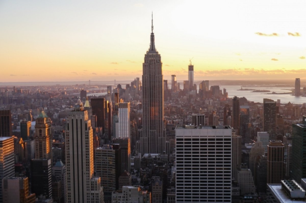    New York Post сравнил с библейской чумой нашествие насекомых на Нью-Йорк