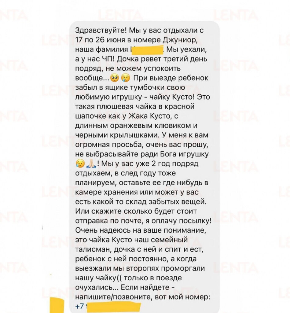 Наслаждается сервисом»: в Анапе сотрудники отеля устроили «отпуск» плюшевой  чайке, забытой туристами | Утренний Юг | Дзен