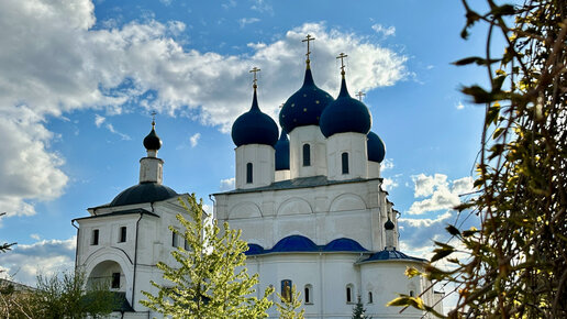 Высоцкий монастырь Подсолнухи