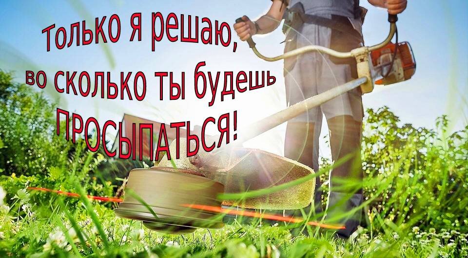 Коллаж автора