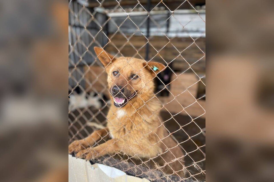    Фото: фонд "Помоги выжить"