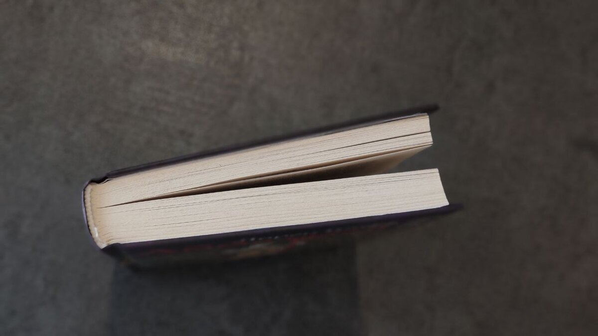 Около 300 страниц, читается легко