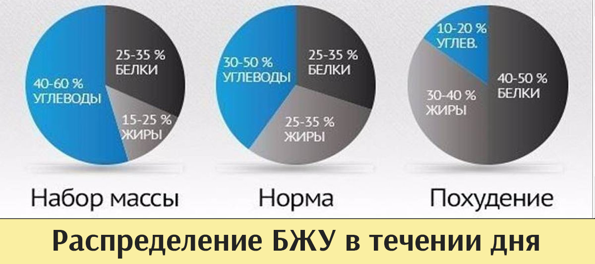 Белки жиры углеводы для похудения план питания