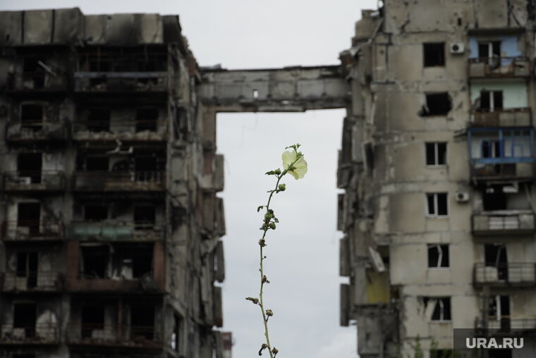    Чешское правительство раскрыло планы по обогащению за счет Украины