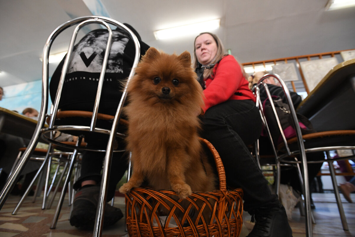 Фото: Komsomolskaya Pravda/Komsomolskaya Pravda