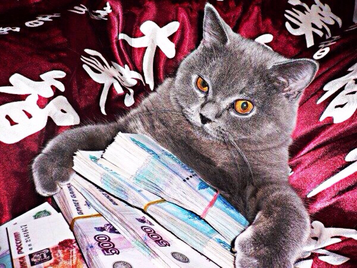 Изображение из открытого источника