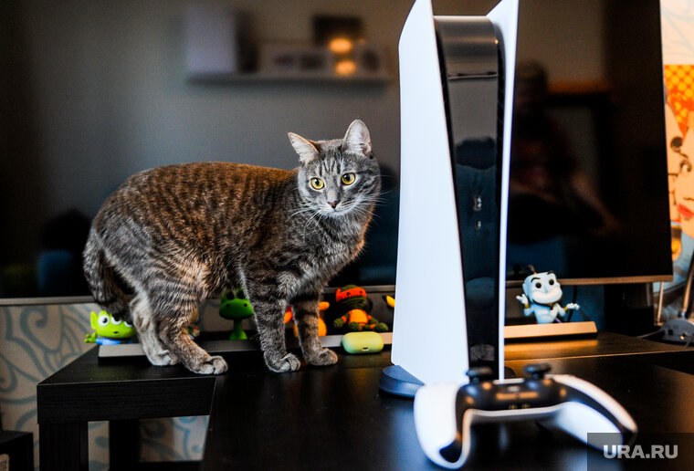    Игровую приставку Playstation 5 можно приобрести за 48 тысяч рублей