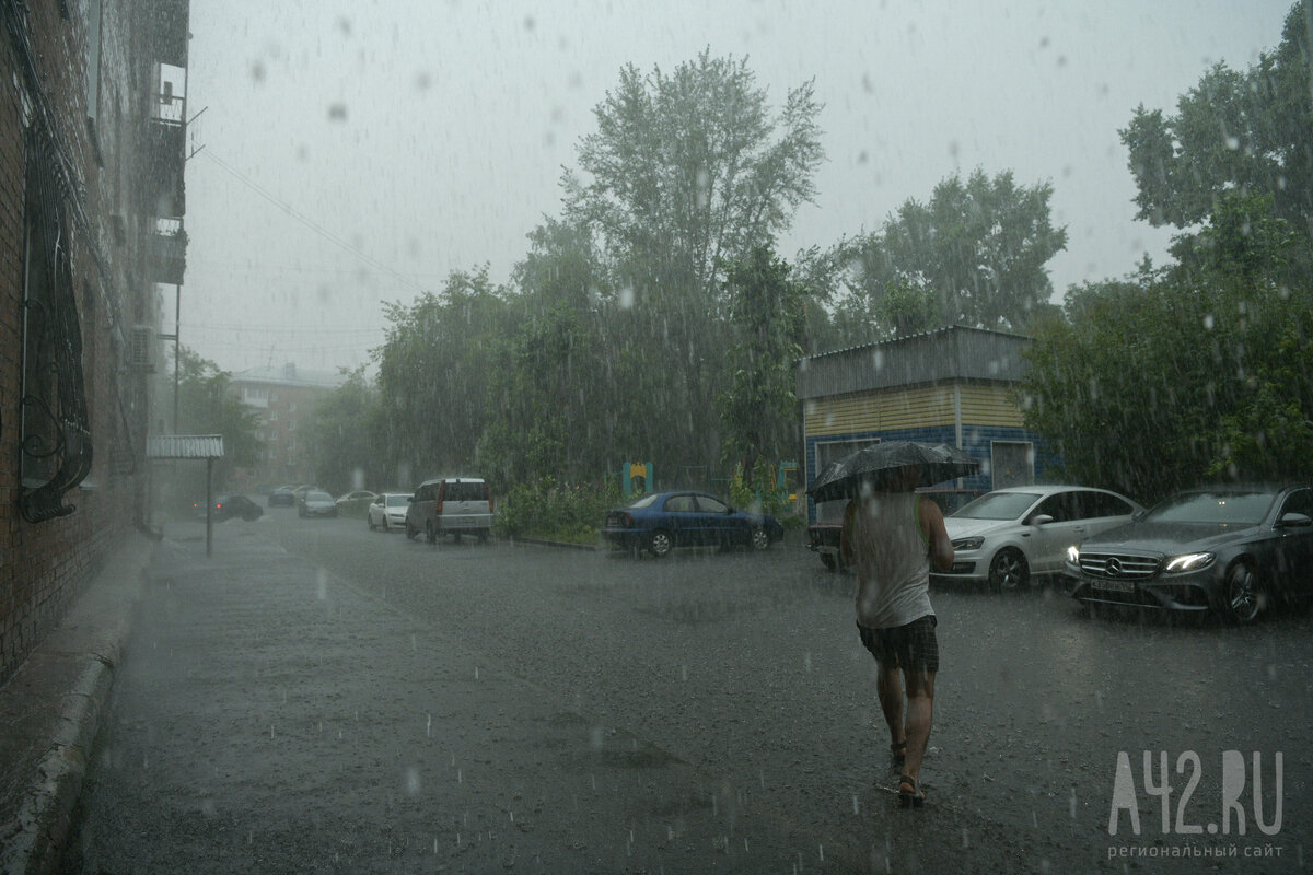 Гроза в выходные. Журналисты дождя. Репортеры дождя. Дождь в Кемерово 8 июля видео.