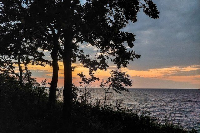   Фото из архива Калининград.Ru