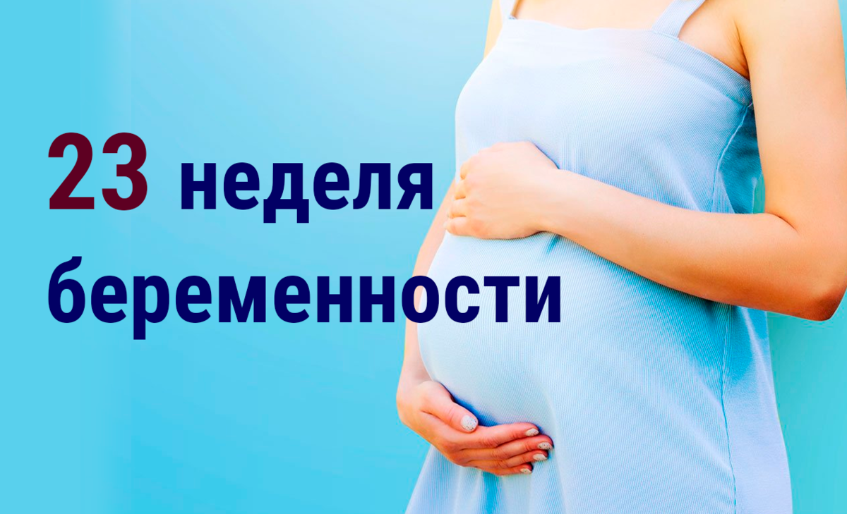 📌 23 неделя беременности⚡ | 👶🏻KROHIPRO👶 - Беременность, питание,  подготовка к родам, воспитание детей - Всё о детях и их родителях🤱🏻 | Дзен