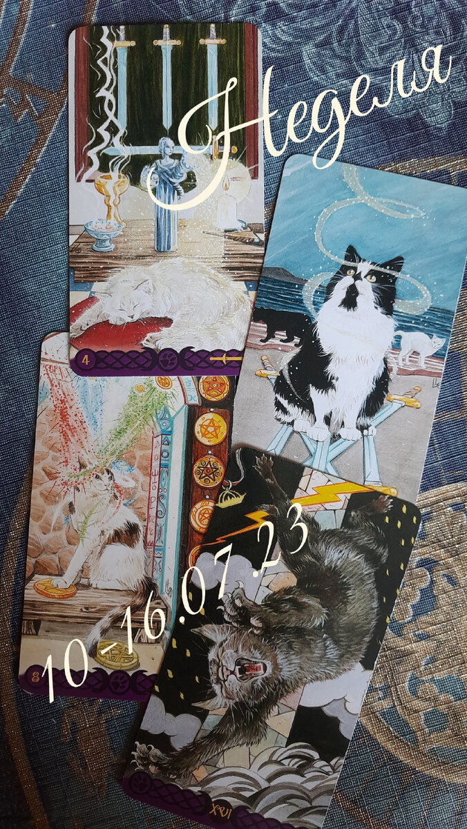 фото ЕлВита