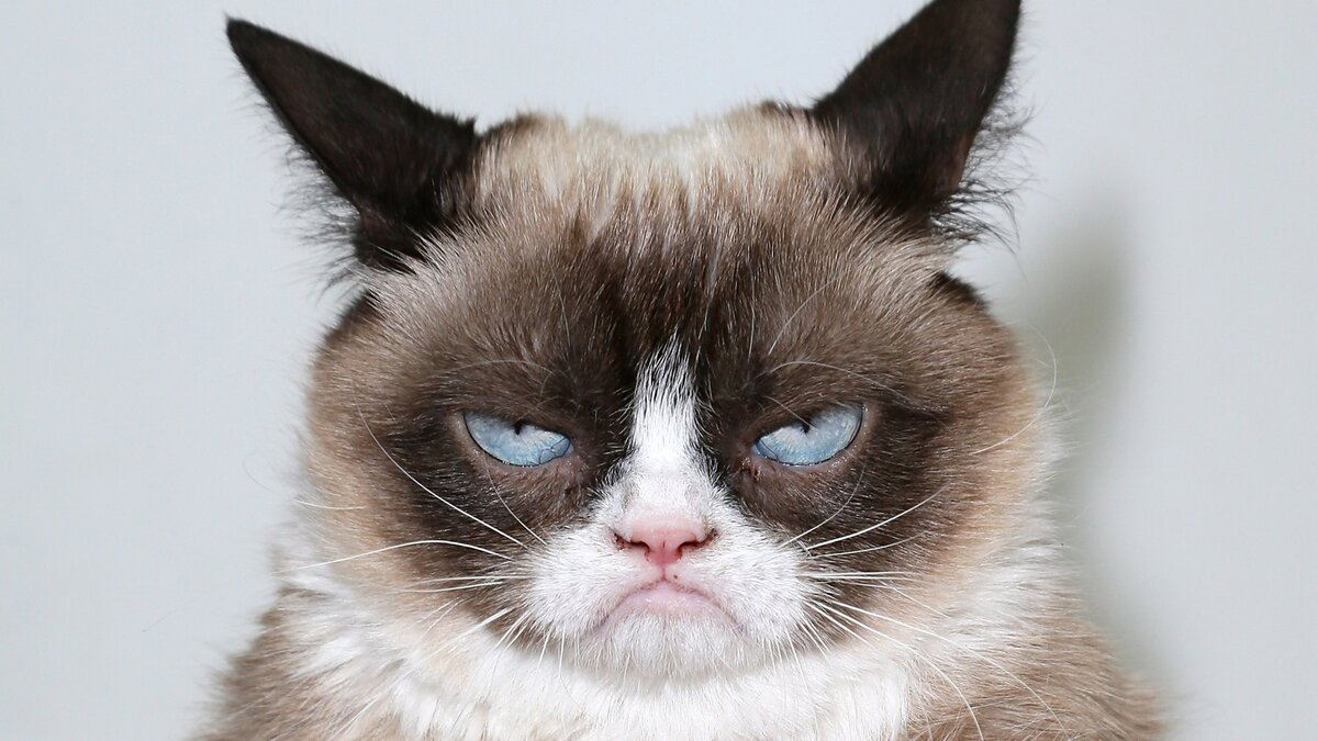 С таким лицом моя дочь идет заниматься математикой. Источник : drive2.ru