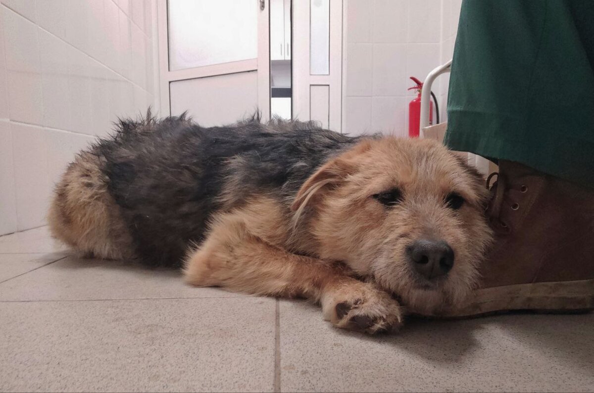 Малышка Ниэлла