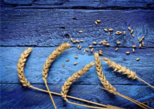 Источник фото Яндекс