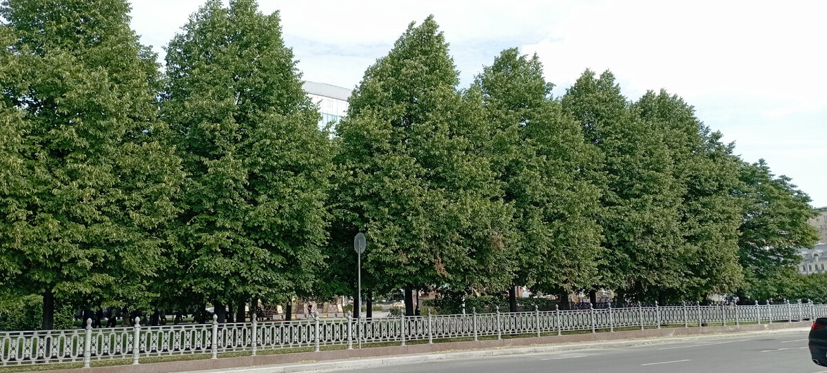 Цветной бульвар. Решаем, что делать дальше. Фото моё.