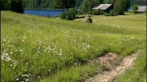 Фото архангельской области плесецкого района архангельской области