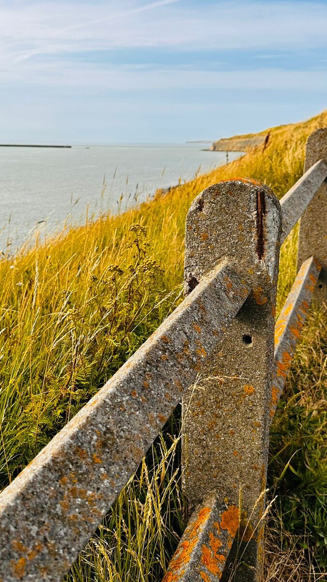 Где кафе и рестораны?)