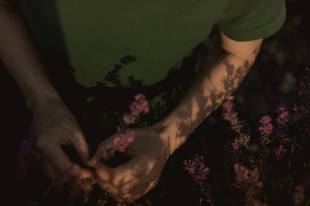    Сегодня лавандовые поля стали таким местом, куда действительно хочется вернуться. Фото: Из личного архива/ Мария Погорелова