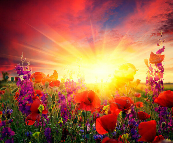 Фото из сети