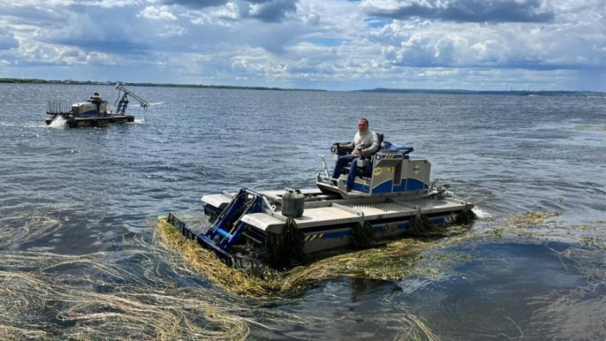    «Плату увеличили – обеспечьте купание!»: жителям Энгельса ответили на просьбу расчистить Волгу, как в СаратовеНовости Саратова и области – Сетевое издание «Репортер64»