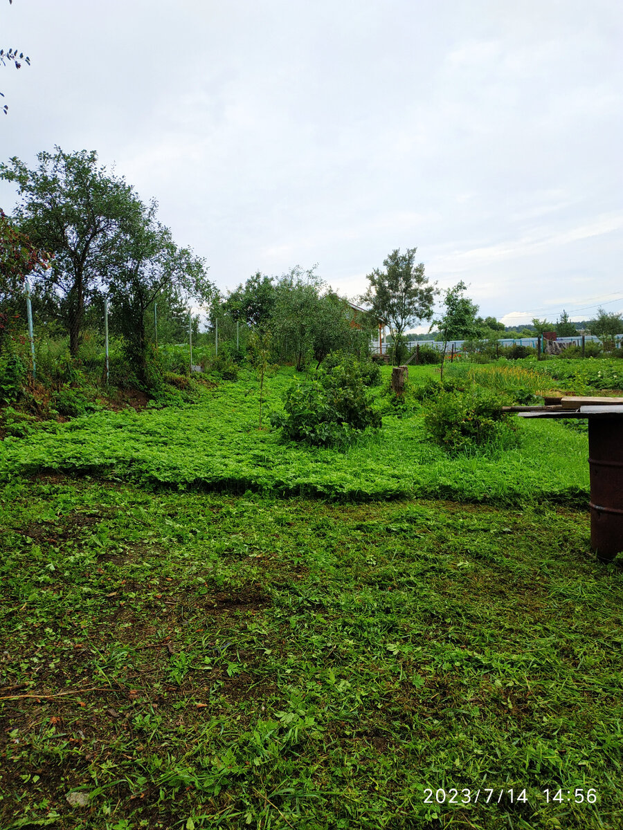 наш участок