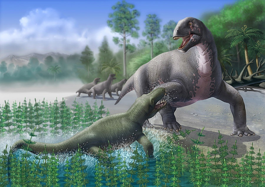 — Здравствуйте! Добро пожаловать в наш магазин. Вам что-нибудь подсказать?
— Нет, я просто смотрю!!!