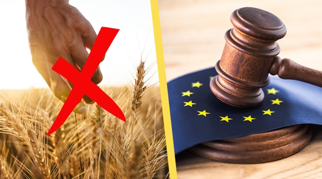 Источник фото: Samnytt