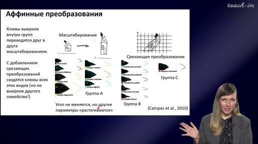 Шурупова Яна Андреевна - Теория эволюции - 10. Онтогенез и эволюция онтогенеза; коэволюция