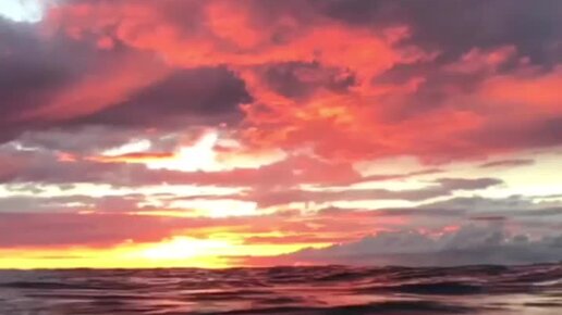 Отдых на море | То, что море — одно из самых красивых и величественных ...