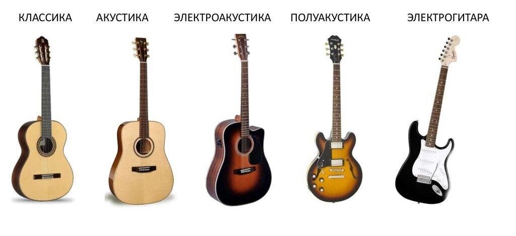 "Виды гитар"