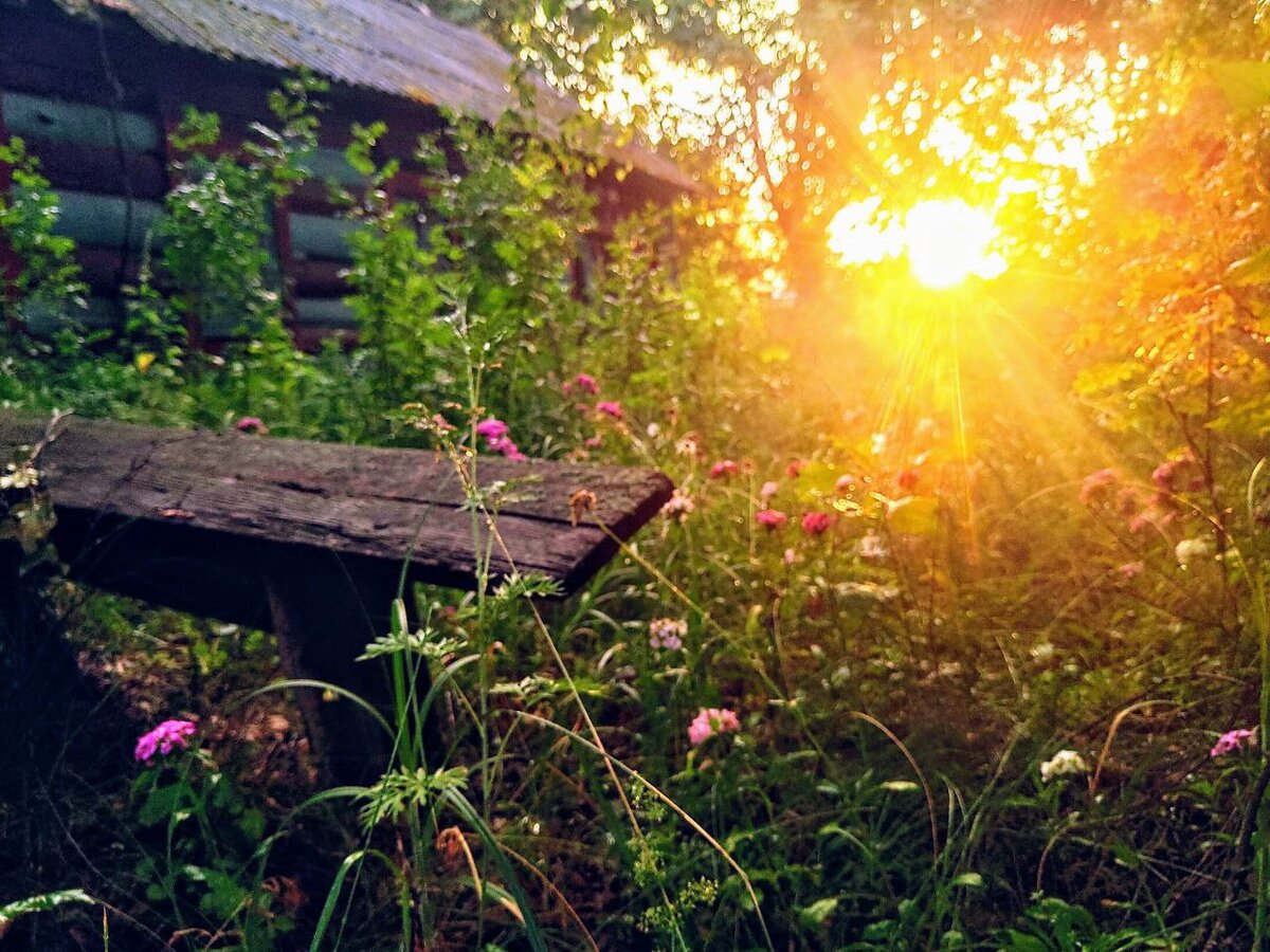 Этот домик у нас называют "ведьминым", согласитесь, что-то в этом есть