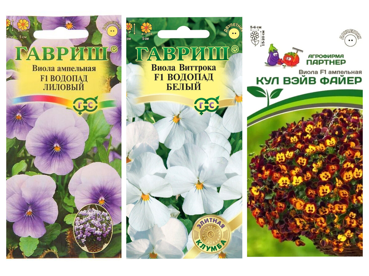 Семена ампельных виол, сезон-2023