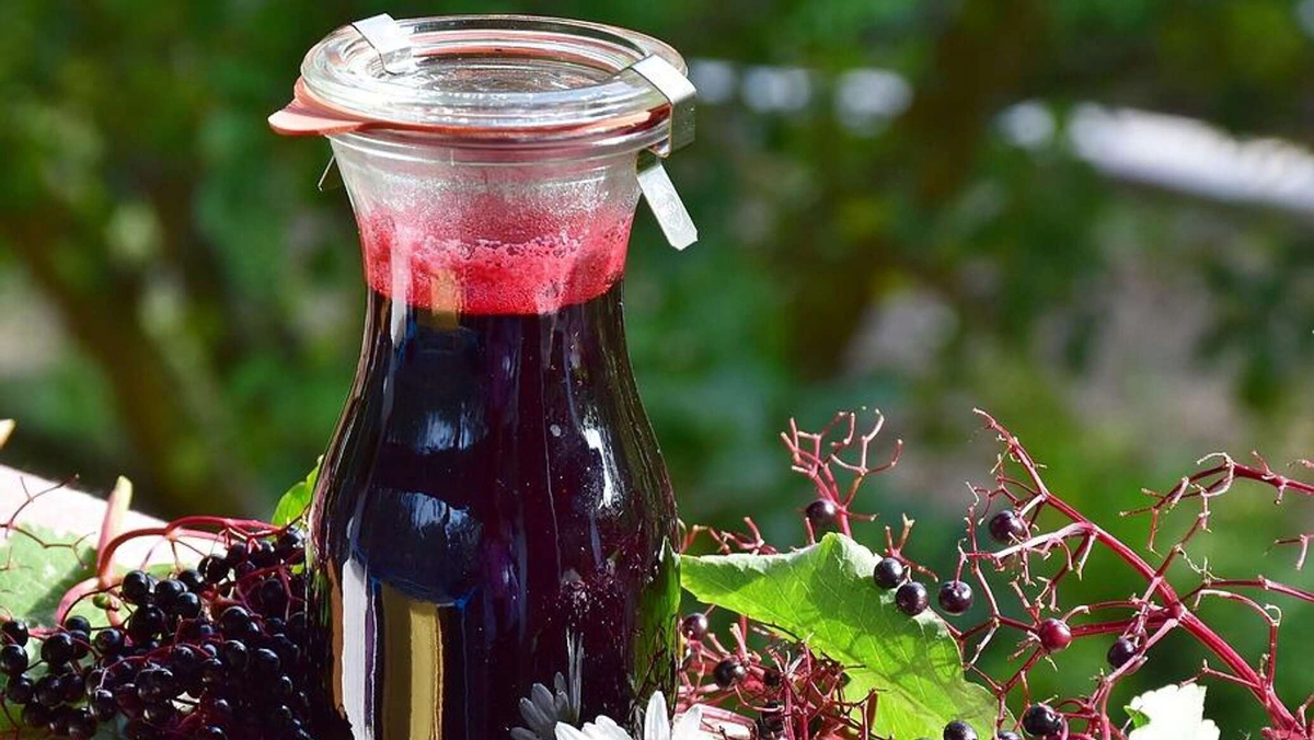 Это чёрная и красивая бузина 