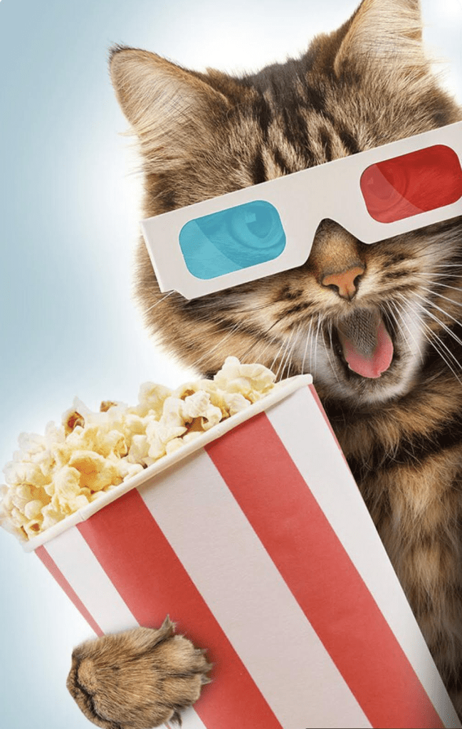 Источник: https://ru.pinterest.com/pin/1477812367417431/