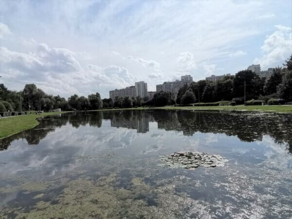    Фото: Никита Чудин.UG.RU