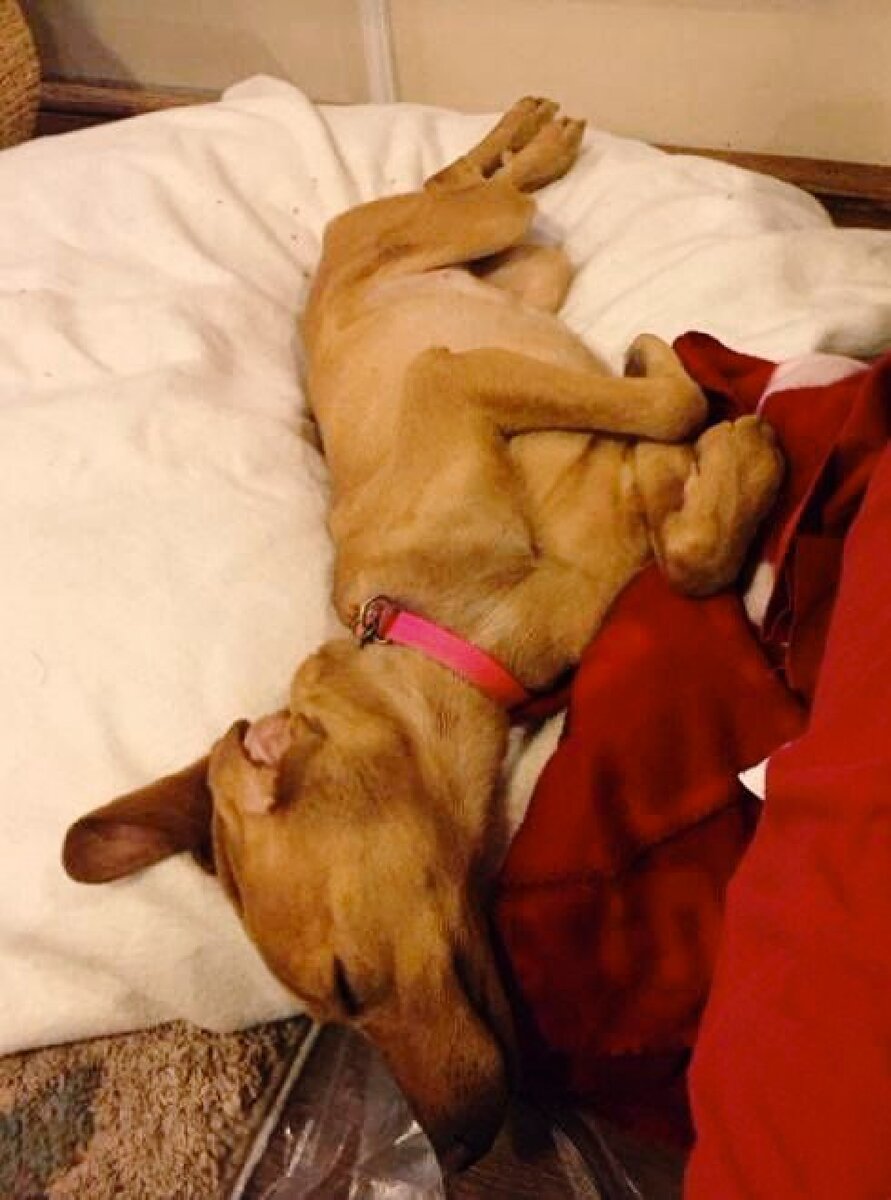 Здесь можно расслабиться