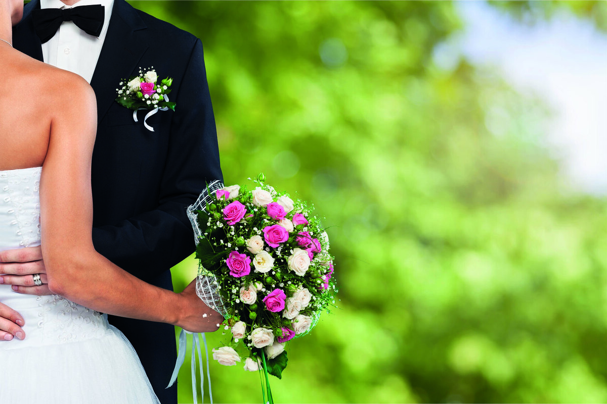  фото с Яндекс.картинки 