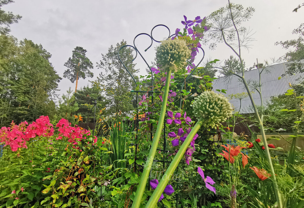 Красиво. Но непрактично!