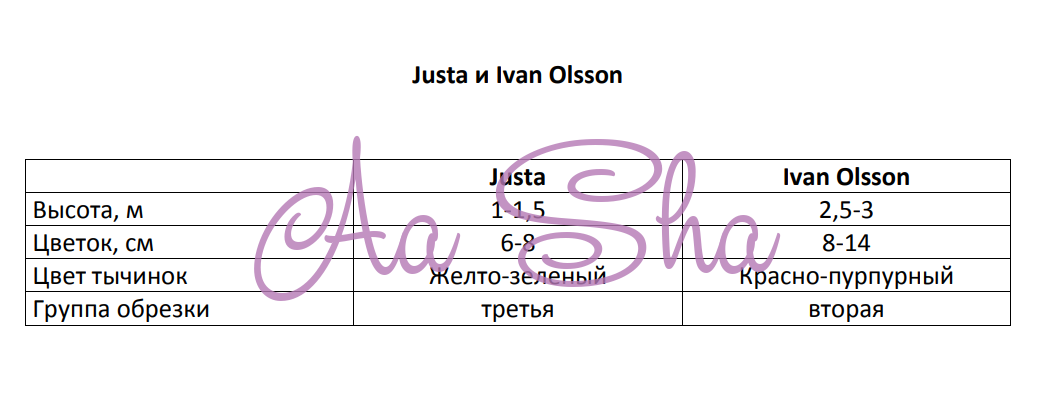 по данным открытых источников